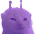 vlorp emote