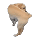 Ricardito animated emote