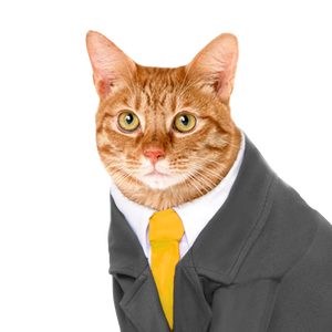 pwgood avatar