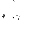 DungeonsAndDragons emote