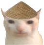 ChinaCat emote