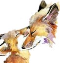 fox_family emote