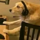 DOGAMING static emote