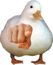 isforyou emote