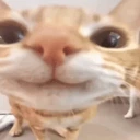 3 emote