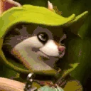 hoodwink emote