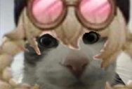 yuhoda emote