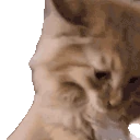 aurNaur emote