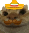 SiSi emote