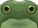 frogeblink emote
