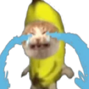 catSob emote