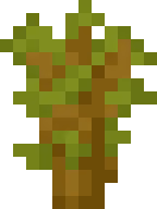 acacia_sapling emote