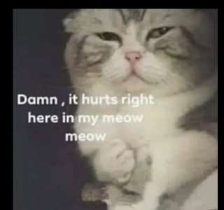 hurt_cat static emote