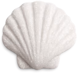 Whitesparklyseashell emote