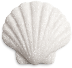 Whitesparklyseashell static emote