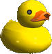 Duck emote