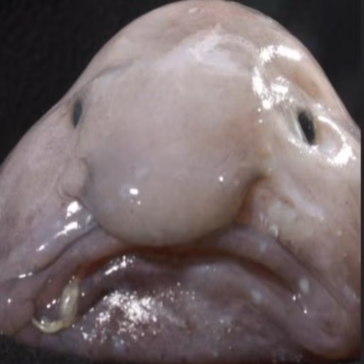 ugly_blob emote