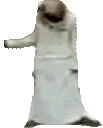 ABDULdance emote