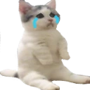catsittingverycomfortablebutmissingitsfriendswherearethey emote