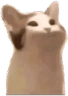 happy_cat emote
