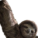 slothHey emote