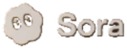 sora static emote