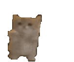 wahoo emote