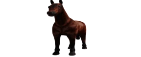Juan emote