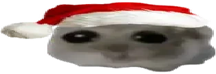oh emote
