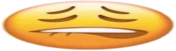 lipbite emote