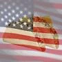america emote