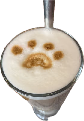 catlattee emote