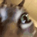 GoingInsane emote