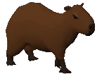 capyWalk emote