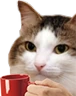 kiisu_coffee emote