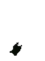 Bug emote