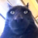 KET emote