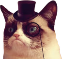 grumpycat_tophat emote
