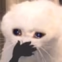 ohmygod emote