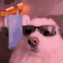 dogRave animated emote