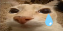 otagSad emote