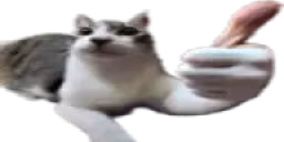 OKAY emote