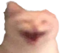 xD emote