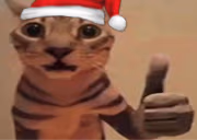 okak emote