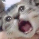 CE_SCREAMMMMMM emote