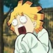 zenitsusacry emote