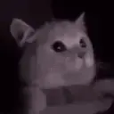 FLASHBANG emote