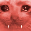 sadCat emote