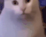 cathuh emote