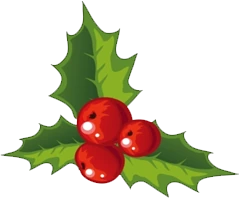 holly emote